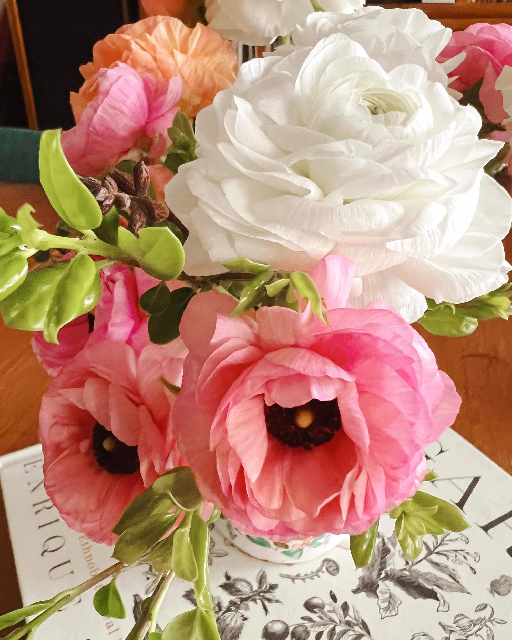 Ranunculus Joy Max Mix 2024 — Joy Max Jardín